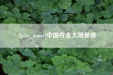 莱州中国夺金大项是谁