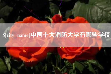 莱州中国十大消防大学有哪些学校