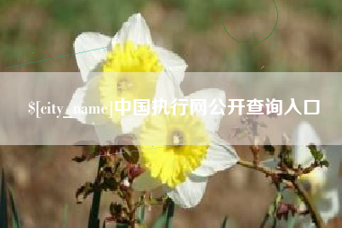 莱州中国执行网公开查询入口