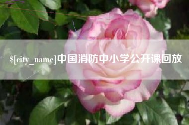 莱州中国消防中小学公开课回放