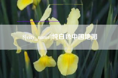 莱州纯白色中国地图