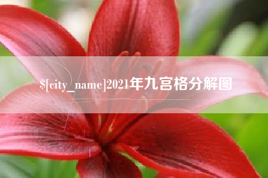 莱州2021年九宫格分解图