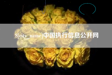 莱州中国执行信息公开网