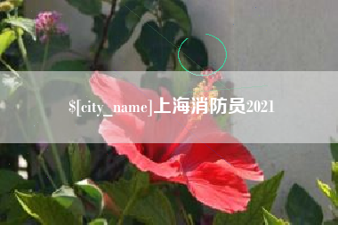 莱州上海消防员2021