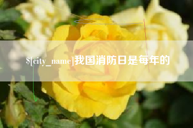 莱州我国消防日是每年的