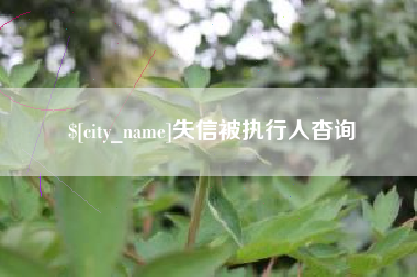 莱州失信被执行人杳询