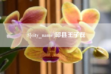莱州邱县王子磊