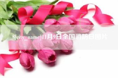 莱州11月9日全国消防日图片