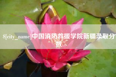 莱州中国消防救援学院新疆录取分数