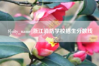 莱州浙江消防学校招生分数线