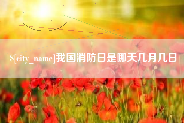 莱州我国消防日是哪天几月几日