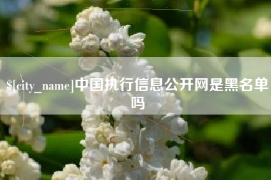 莱州中国执行信息公开网是黑名单吗