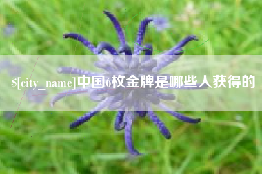 莱州中国6枚金牌是哪些人获得的