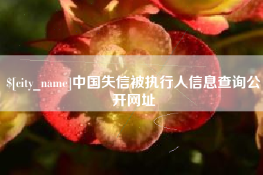 莱州中国失信被执行人信息查询公开网址