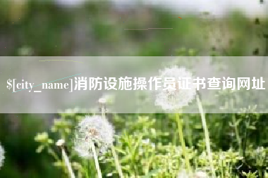 莱州消防设施操作员证书查询网址