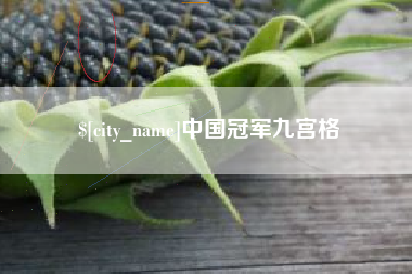 莱州中国冠军九宫格
