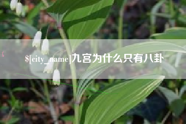 莱州九宫为什么只有八卦