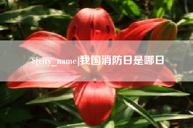 莱州我国消防日是哪日