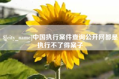 莱州中国执行案件查询公开网都是执行不了得案子