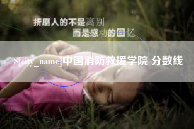 莱州中国消防救援学院 分数线