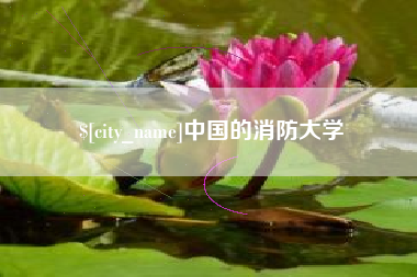 莱州中国的消防大学
