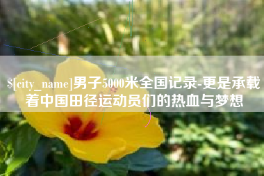 莱州男子5000米全国记录-更是承载着中国田径运动员们的热血与梦想