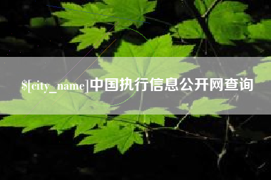 莱州中国执行信息公开网查询