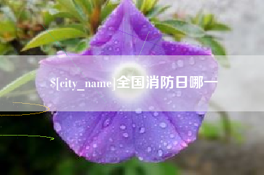 莱州全国消防日哪一