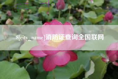 莱州消防证查询全国联网