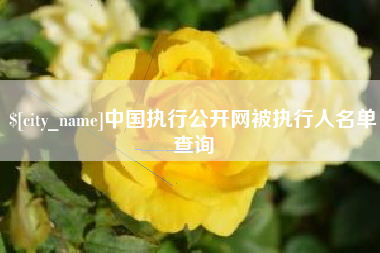 莱州中国执行公开网被执行人名单查询