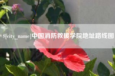 莱州中国消防救援学院地址路线图