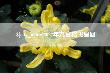 莱州2022年九宫格飞星图