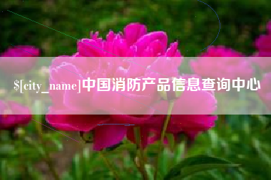 莱州中国消防产品信息查询中心