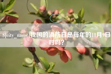 莱州我国的消防日是每年的11月9日对吗？