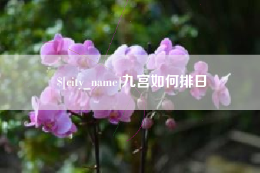 莱州九宫如何排日