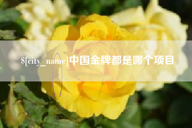 莱州中国金牌都是哪个项目