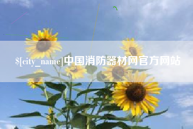 莱州中国消防器材网官方网站