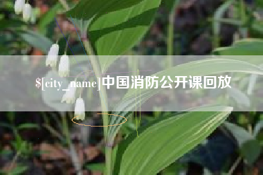 莱州中国消防公开课回放