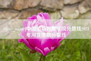 莱州中国消防救援学院分数线2023年河北录取分数线