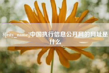 莱州中国执行信息公开网的网址是什么