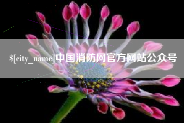 莱州中国消防网官方网站公众号