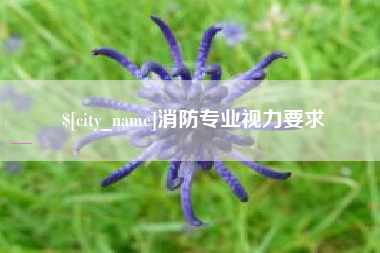 莱州消防专业视力要求