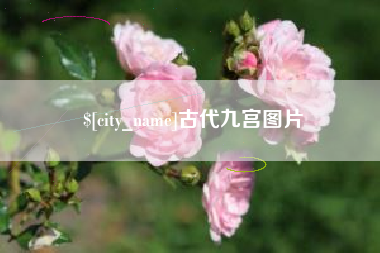 莱州古代九宫图片