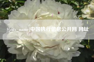 莱州中国执行信息公开网 网址