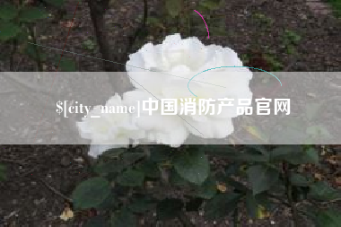 莱州中国消防产品官网