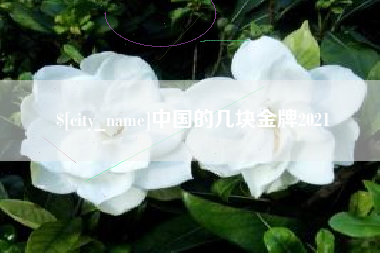 莱州中国的几块金牌2021