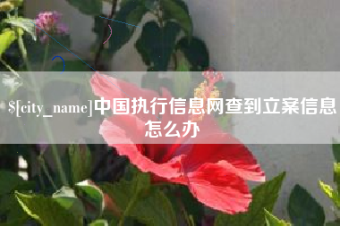 莱州中国执行信息网查到立案信息怎么办