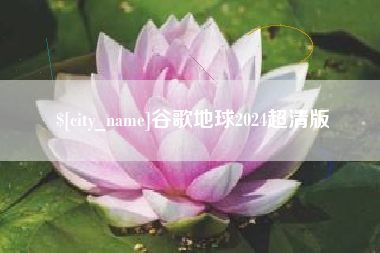 莱州谷歌地球2024超清版