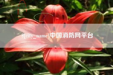 莱州中国消防网平台