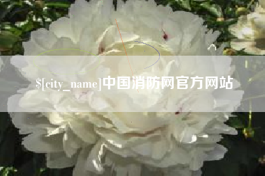 莱州中国消防网官方网站